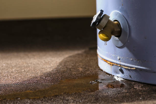 Best Basement water damage restoration  in Palmetto, FL