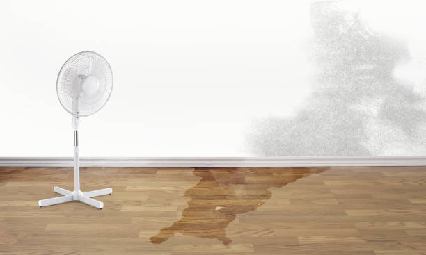 Best Emergency water damage restoration  in Palmetto, FL