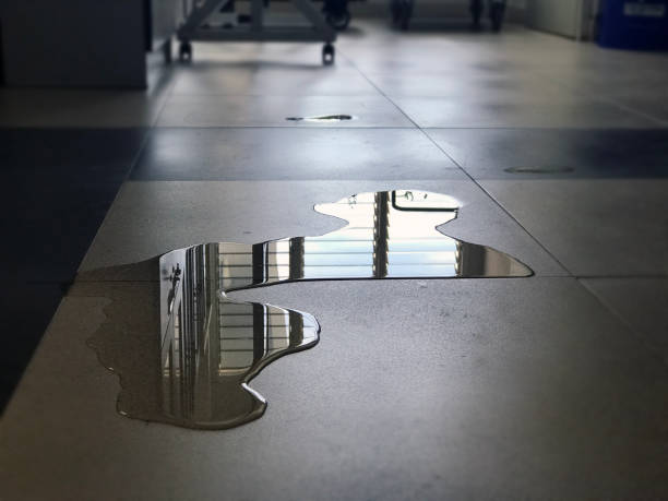 Best 24/7 water damage repair  in Palmetto, FL