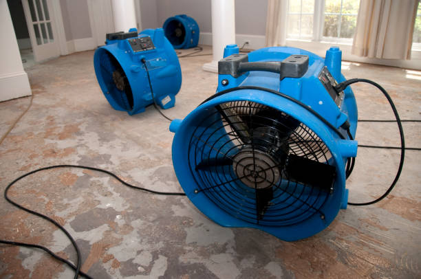 Reliable FL Water damage restoration Solutions